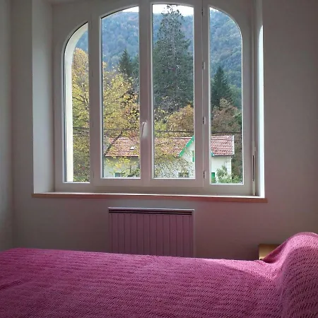 Apartment T2 250m Du Centre *